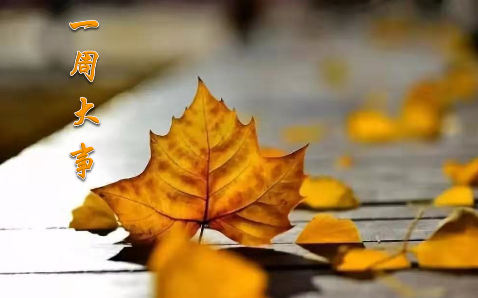 ܿ嫺^خaһܴӛ2019/11/11-2019/11/17
